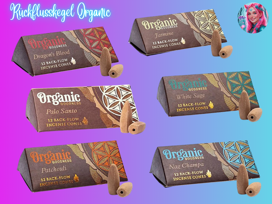 Rückflusskegel Organic